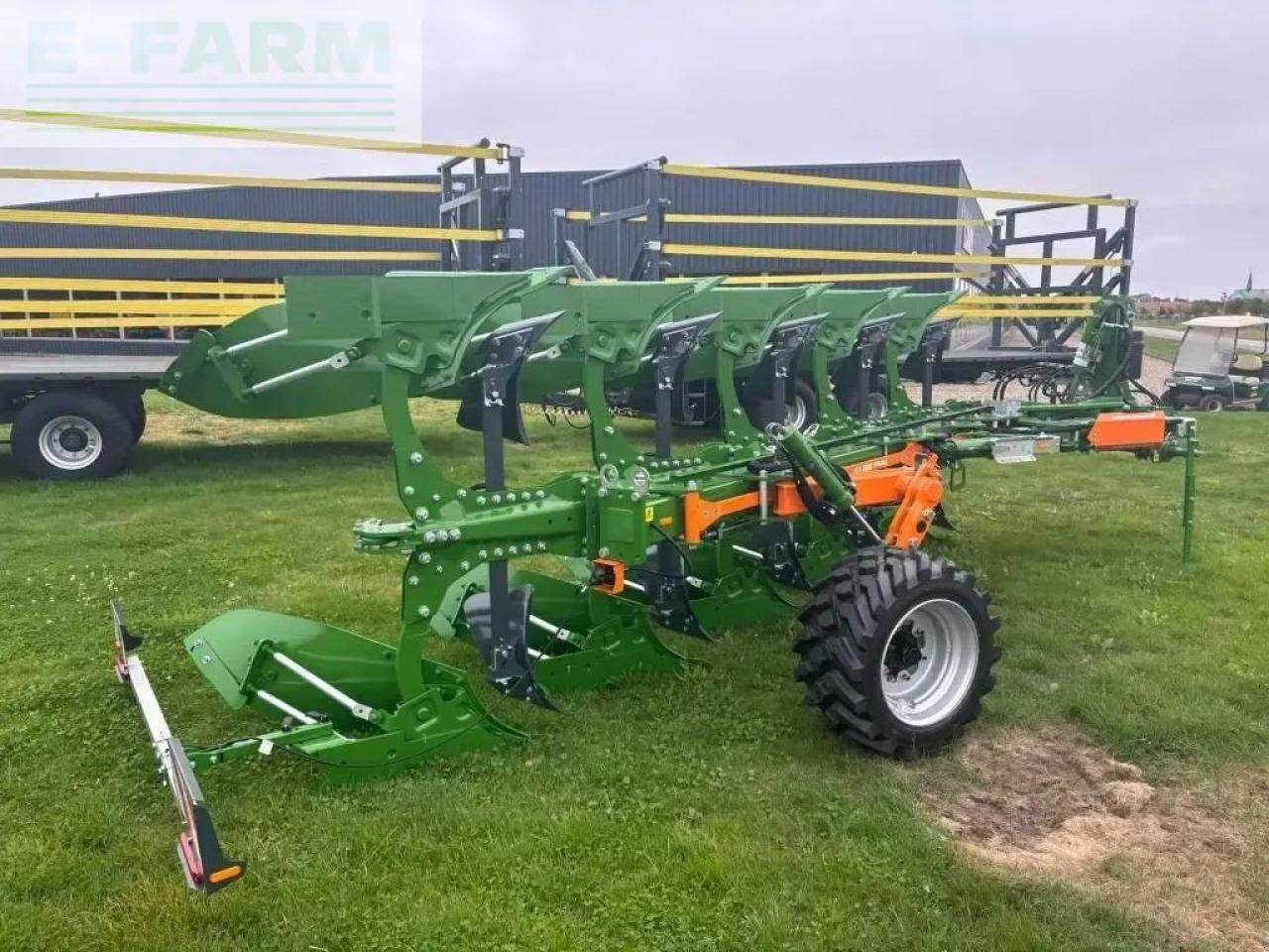 Amazone teres 5 furet - Aura: kuva Amazone teres 5 furet - Aura Amazone teres 5 furet - Aura: kuva Amazone teres 5 furet - Aura