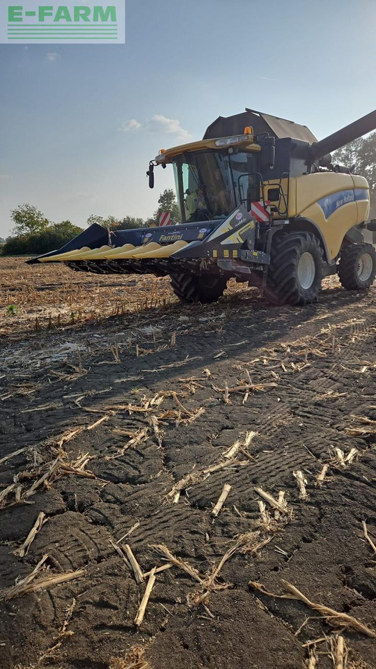 Leikkuupuimuri New Holland CX 860: kuva Leikkuupuimuri New Holland CX 860 Leikkuupuimuri New Holland CX 860: kuva Leikkuupuimuri New Holland CX 860