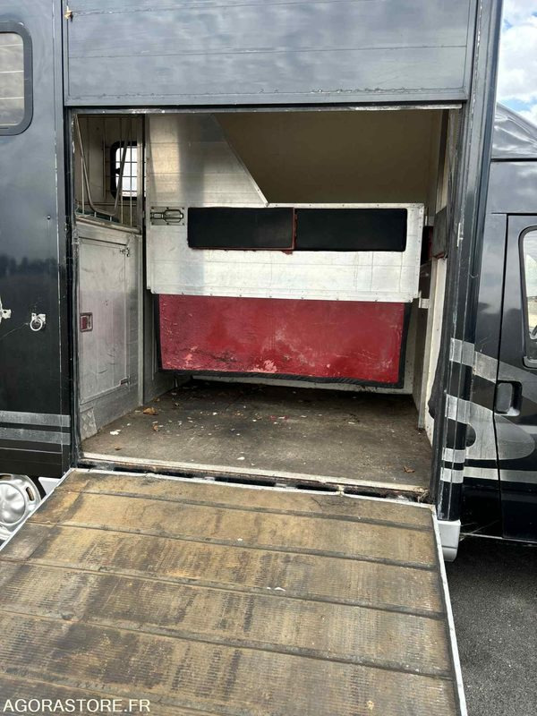 Fourgon FORD - Transport de 2 Chevaux - 2004 - 137 510 KM - Pakettiauto: kuva Fourgon FORD - Transport de 2 Chevaux - 2004 - 137 510 KM - Pakettiauto Fourgon FORD - Transport de 2 Chevaux - 2004 - 137 510 KM - Pakettiauto: kuva Fourgon FORD - Transport de 2 Chevaux - 2004 - 137 510 KM - Pakettiauto