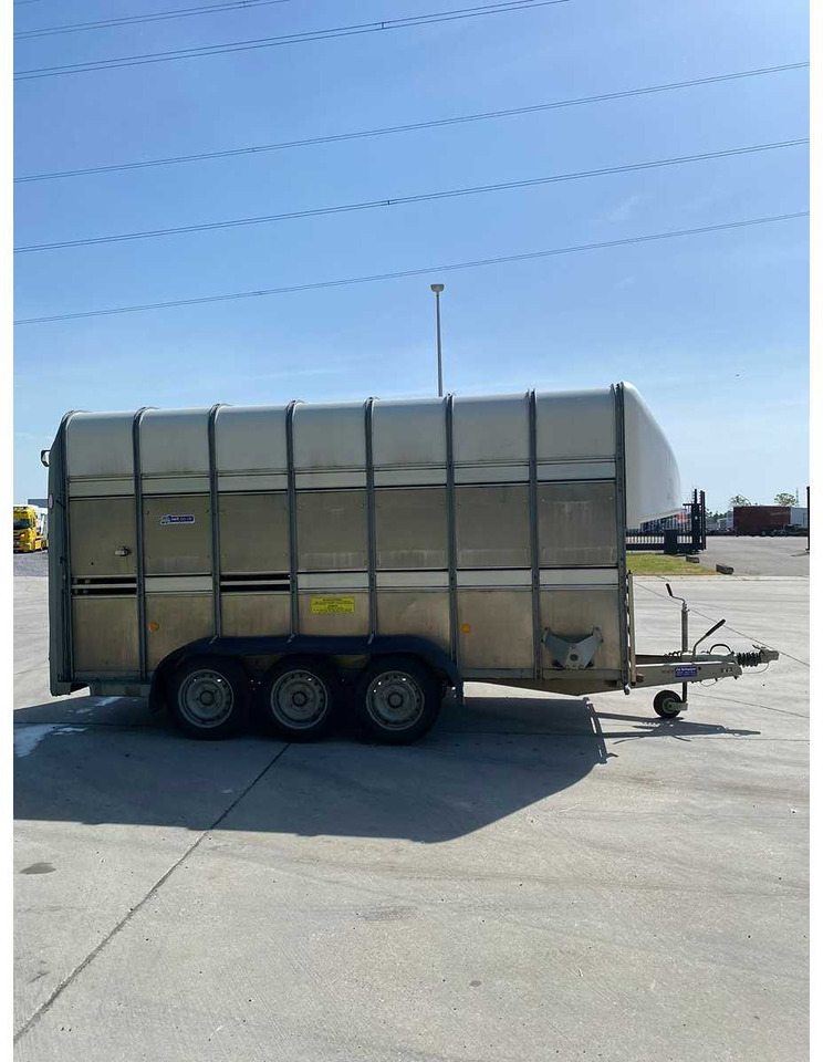 Ifor Williams Trailers TA510G14/3 7' DECKS - Eläinten kuljetus perävaunu: kuva Ifor Williams Trailers TA510G14/3 7' DECKS - Eläinten kuljetus perävaunu Ifor Williams Trailers TA510G14/3 7' DECKS - Eläinten kuljetus perävaunu: kuva Ifor Williams Trailers TA510G14/3 7' DECKS - Eläinten kuljetus perävaunu