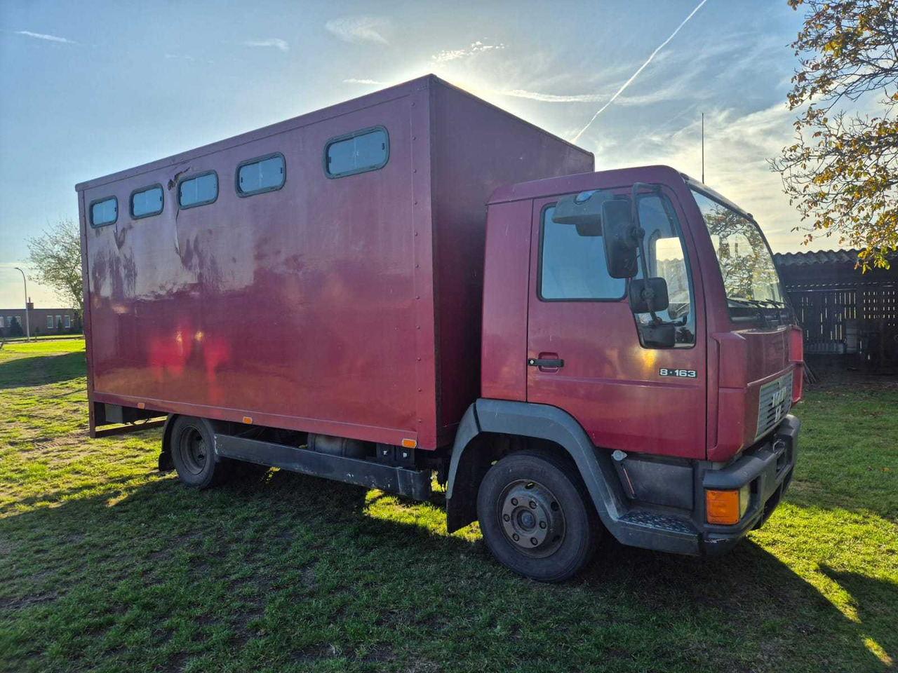 MAN L 75F HORSE TRAILER 1994 - Kuorma-auto: kuva MAN L 75F HORSE TRAILER 1994 - Kuorma-auto MAN L 75F HORSE TRAILER 1994 - Kuorma-auto: kuva MAN L 75F HORSE TRAILER 1994 - Kuorma-auto