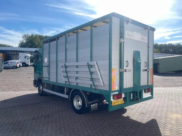 Iveco EuroCargo 65 BLADVERING / HANDGESCHAKELDE - Eläinten kuljetus kuorma-auto: kuva Iveco EuroCargo 65 BLADVERING / HANDGESCHAKELDE - Eläinten kuljetus kuorma-auto Iveco EuroCargo 65 BLADVERING / HANDGESCHAKELDE - Eläinten kuljetus kuorma-auto: kuva Iveco EuroCargo 65 BLADVERING / HANDGESCHAKELDE - Eläinten kuljetus kuorma-auto