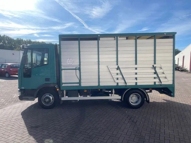 Iveco EuroCargo 65 FULL STEEL / MANUAL-GEAR - Kuorma-auto alusta: kuva Iveco EuroCargo 65 FULL STEEL / MANUAL-GEAR - Kuorma-auto alusta Iveco EuroCargo 65 FULL STEEL / MANUAL-GEAR - Kuorma-auto alusta: kuva Iveco EuroCargo 65 FULL STEEL / MANUAL-GEAR - Kuorma-auto alusta