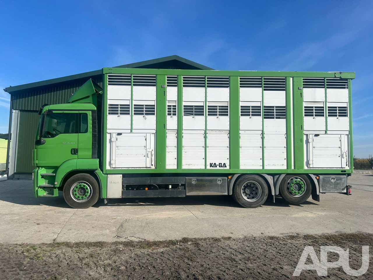 MAN TGS 26.440 DO PRZEWOZU BYDŁA - Eläinten kuljetus kuorma-auto: kuva MAN TGS 26.440 DO PRZEWOZU BYDŁA - Eläinten kuljetus kuorma-auto MAN TGS 26.440 DO PRZEWOZU BYDŁA - Eläinten kuljetus kuorma-auto: kuva MAN TGS 26.440 DO PRZEWOZU BYDŁA - Eläinten kuljetus kuorma-auto