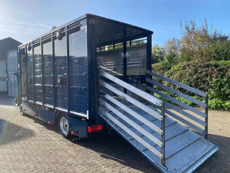 DAF LF 280 - Eläinten kuljetus kuorma-auto: kuva DAF LF 280 - Eläinten kuljetus kuorma-auto DAF LF 280 - Eläinten kuljetus kuorma-auto: kuva DAF LF 280 - Eläinten kuljetus kuorma-auto