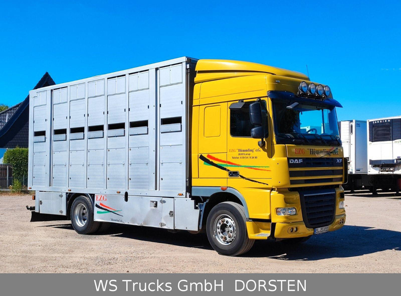 DAF XF410 Menke Doppelstock - Eläinten kuljetus kuorma-auto: kuva DAF XF410 Menke Doppelstock - Eläinten kuljetus kuorma-auto DAF XF410 Menke Doppelstock - Eläinten kuljetus kuorma-auto: kuva DAF XF410 Menke Doppelstock - Eläinten kuljetus kuorma-auto