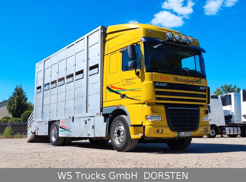 DAF XF410 Menke Doppelstock - Eläinten kuljetus kuorma-auto: kuva DAF XF410 Menke Doppelstock - Eläinten kuljetus kuorma-auto DAF XF410 Menke Doppelstock - Eläinten kuljetus kuorma-auto: kuva DAF XF410 Menke Doppelstock - Eläinten kuljetus kuorma-auto