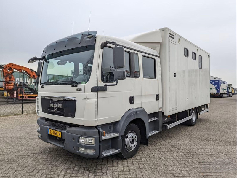 MAN TGL 12.180 - Doka Horse transporter - Hevosauto: kuva MAN TGL 12.180 - Doka Horse transporter - Hevosauto MAN TGL 12.180 - Doka Horse transporter - Hevosauto: kuva MAN TGL 12.180 - Doka Horse transporter - Hevosauto