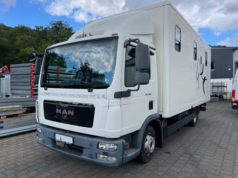 MAN TGL 8.180 - Horse transporter - Hevosauto: kuva MAN TGL 8.180 - Horse transporter - Hevosauto MAN TGL 8.180 - Horse transporter - Hevosauto: kuva MAN TGL 8.180 - Horse transporter - Hevosauto