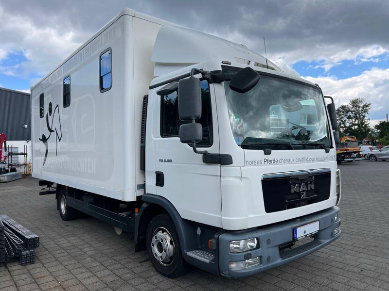 MAN TGL 8.180 - Horse transporter - Hevosauto: kuva MAN TGL 8.180 - Horse transporter - Hevosauto MAN TGL 8.180 - Horse transporter - Hevosauto: kuva MAN TGL 8.180 - Horse transporter - Hevosauto