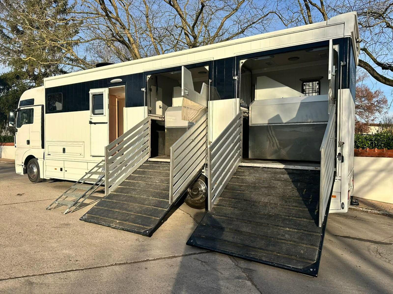 MAN TGX 26.440 - Horse transporter - Hevosauto: kuva MAN TGX 26.440 - Horse transporter - Hevosauto MAN TGX 26.440 - Horse transporter - Hevosauto: kuva MAN TGX 26.440 - Horse transporter - Hevosauto