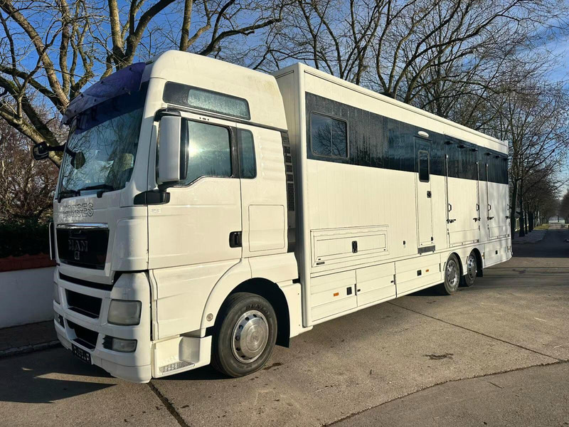 MAN TGX 26.440 - Horse transporter - Hevosauto: kuva MAN TGX 26.440 - Horse transporter - Hevosauto MAN TGX 26.440 - Horse transporter - Hevosauto: kuva MAN TGX 26.440 - Horse transporter - Hevosauto