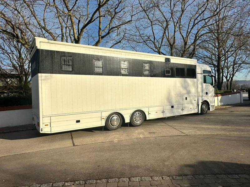 MAN TGX 26.440 - Horse transporter - Hevosauto: kuva MAN TGX 26.440 - Horse transporter - Hevosauto MAN TGX 26.440 - Horse transporter - Hevosauto: kuva MAN TGX 26.440 - Horse transporter - Hevosauto