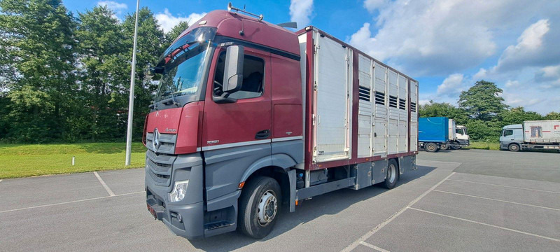 Mercedes-Benz Actros 1851 - Eläinten kuljetus kuorma-auto: kuva Mercedes-Benz Actros 1851 - Eläinten kuljetus kuorma-auto Mercedes-Benz Actros 1851 - Eläinten kuljetus kuorma-auto: kuva Mercedes-Benz Actros 1851 - Eläinten kuljetus kuorma-auto