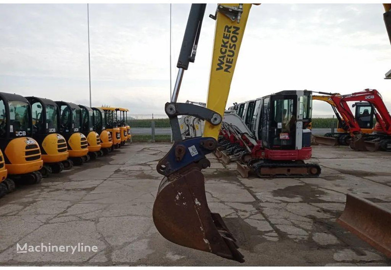 WACKER NEUSON 50Z3 Mini excavator - Minikuormaaja: kuva WACKER NEUSON 50Z3 Mini excavator - Minikuormaaja WACKER NEUSON 50Z3 Mini excavator - Minikuormaaja: kuva WACKER NEUSON 50Z3 Mini excavator - Minikuormaaja