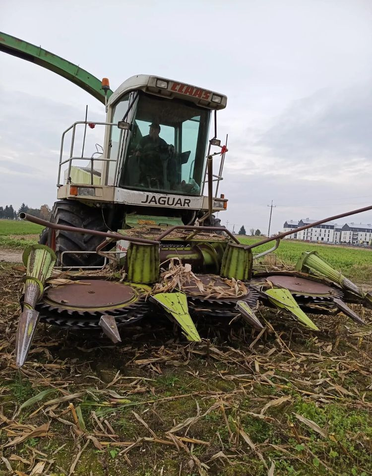 Claas Jaguar 840 - Itsekulkeva silppuri: kuva Claas Jaguar 840 - Itsekulkeva silppuri Claas Jaguar 840 - Itsekulkeva silppuri: kuva Claas Jaguar 840 - Itsekulkeva silppuri