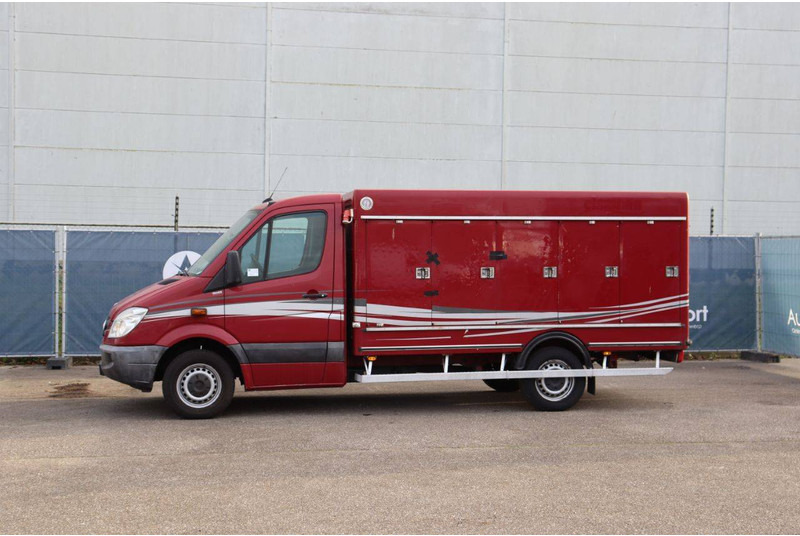 Mercedes-Benz 313CDI - Jakeluauto: kuva Mercedes-Benz 313CDI - Jakeluauto Mercedes-Benz 313CDI - Jakeluauto: kuva Mercedes-Benz 313CDI - Jakeluauto