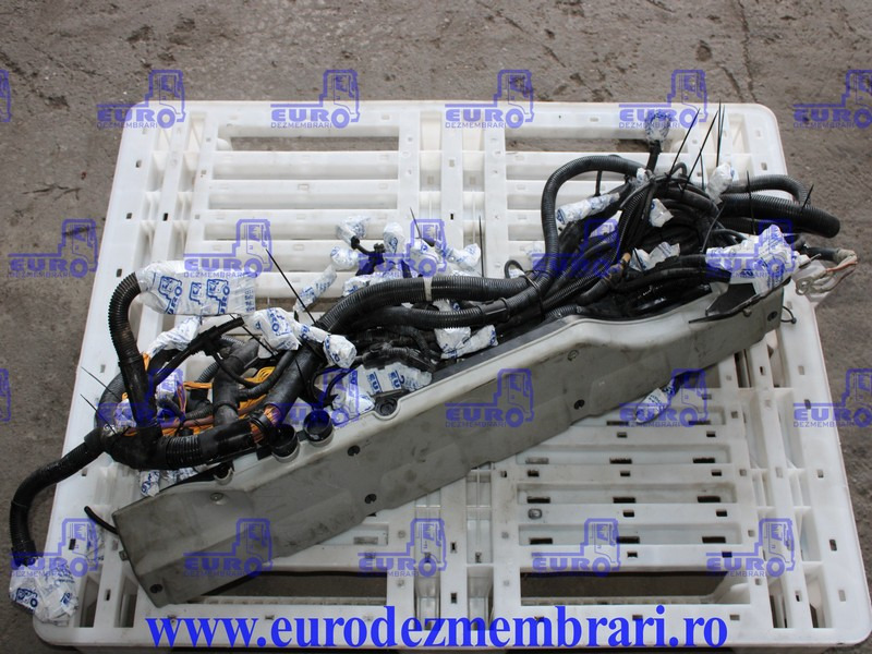 INSTALATIE ELECTRICA MOTOR MAN D2676 LF51 81.25459.6956 - Kaapelit/ Johdot - Kuorma-auto: kuva INSTALATIE ELECTRICA MOTOR MAN D2676 LF51 81.25459.6956 - Kaapelit/ Johdot - Kuorma-auto INSTALATIE ELECTRICA MOTOR MAN D2676 LF51 81.25459.6956 - Kaapelit/ Johdot - Kuorma-auto: kuva INSTALATIE ELECTRICA MOTOR MAN D2676 LF51 81.25459.6956 - Kaapelit/ Johdot - Kuorma-auto