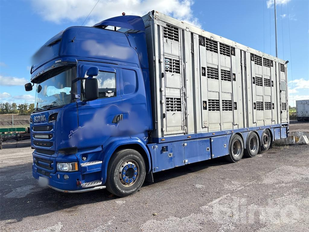 SCANIA R580 - Eläinten kuljetus kuorma-auto: kuva SCANIA R580 - Eläinten kuljetus kuorma-auto SCANIA R580 - Eläinten kuljetus kuorma-auto: kuva SCANIA R580 - Eläinten kuljetus kuorma-auto
