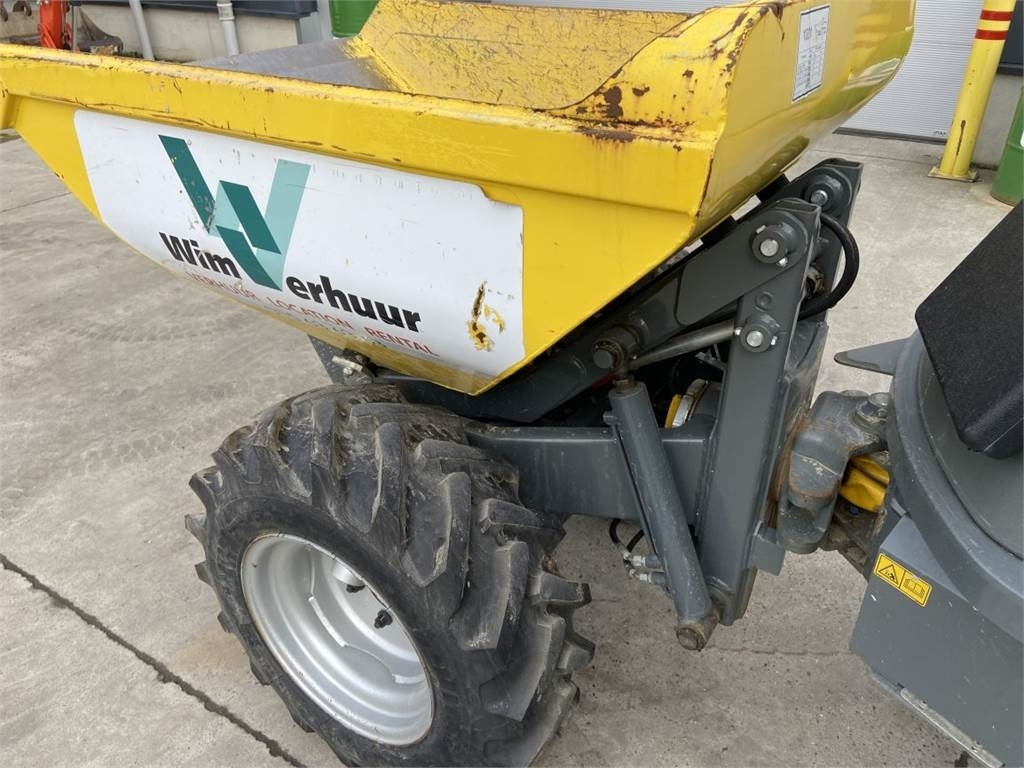 Wacker Neuson Neuson 1001 (5355) - Pikku dumpperi: kuva Wacker Neuson Neuson 1001 (5355) - Pikku dumpperi Wacker Neuson Neuson 1001 (5355) - Pikku dumpperi: kuva Wacker Neuson Neuson 1001 (5355) - Pikku dumpperi
